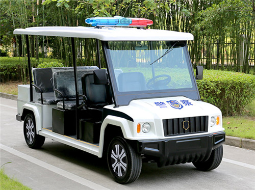 6座电动巡逻车