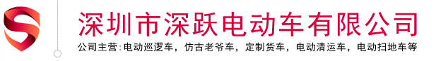 深圳市深跃电动车有限公司